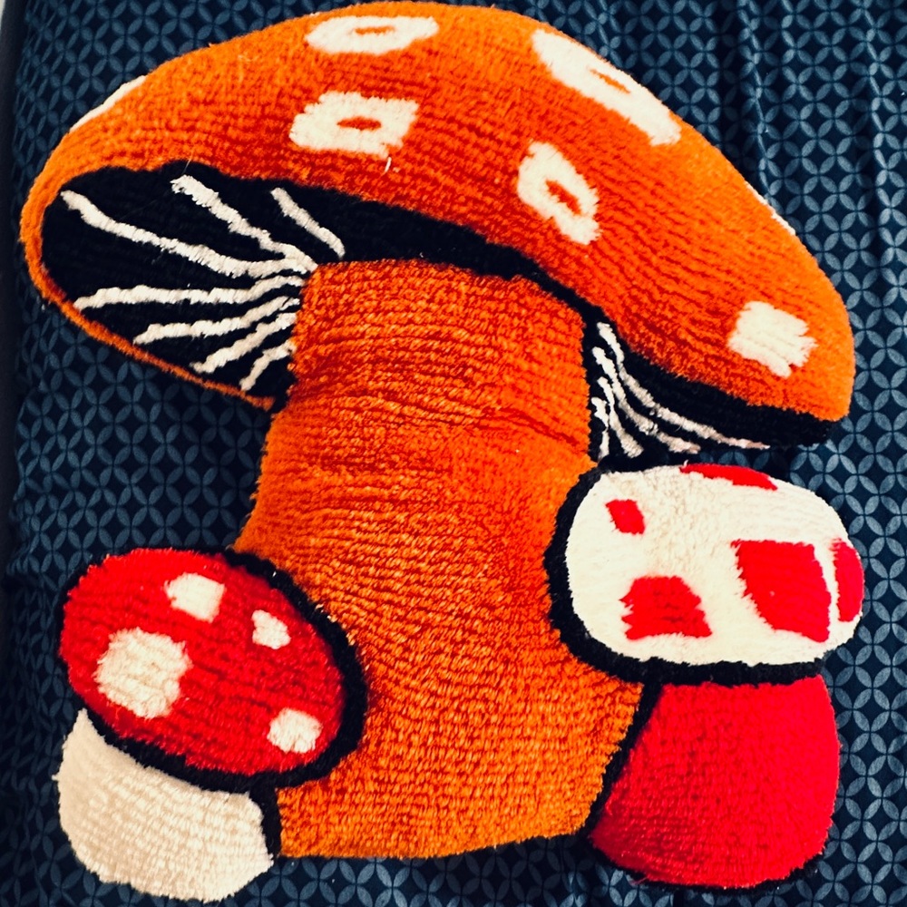 UO (Urban Outfitters) Mushroom Pillow